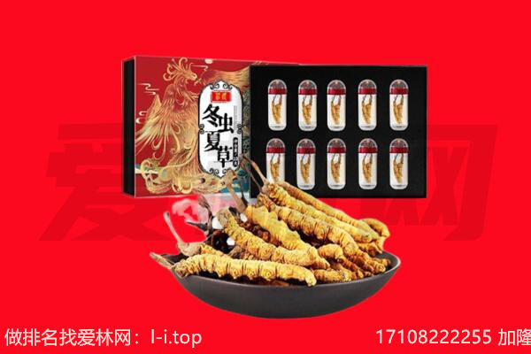 绵阳梓潼县回收虫草.jpg